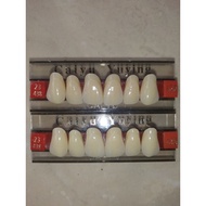 Gigi Palsu Depan atas (anterior upper) per papan isi 6 butir/pcs caiyu gigi palsu original asli untu