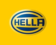 HELLA / D2R Xenon Bulb 6000K Part Number: 8GS178-560-922
