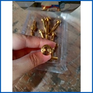 ✱ ✽ ☘️ CRANKCASE BOLT YAYAMANIN SET FOR RAIDER150/FI/BEAT FI/CLICK125 I/MIO SPORTY/MIO SOUL I 125 (
