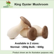 [Greencartsg] Fresh Vegetables – King Oyster Mushroom