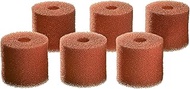 OASE 46482 Replacement Filter Sponge, Pre-Filter Foam Set for BioMaster Aquarium External Filter, 6 