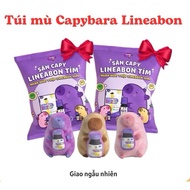 [GIFT] Blind bag D3k2 Lineabon Super cute Capybara stuffed animal (size 20cm)