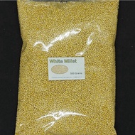 White Millet Bird Seed 500 grams for birds