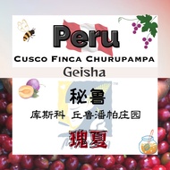 MIMOSA Single Origin Hand Brew Coffee Bean | Peru Cusco Finca Churupampa Geisha | 秘鲁🇵🇪 瑰夏