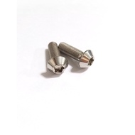 KOSO Anti-theft Screw White Iron Anti-theft Screw Star Screw Pentagonal Screw 6mm 8mm 10mm