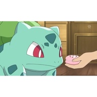 Passport Photo 3x4 Photo ID/