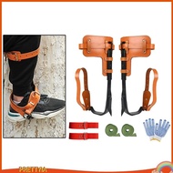 [PrettyiaSG] Tree Climbing with Gloves Straps Tree Climbing Equipment Tree Spikes Tree Gripper for Climbing Trees Cutting Tree Camping