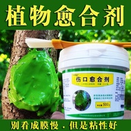 Wound Agent Plant Tree Fruit Tree Trimming Bonsai Stump Root Branch Sealant Grafting Applicant