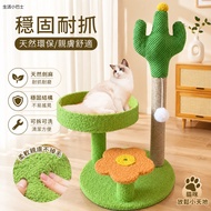 Cat Claws Play Furniture