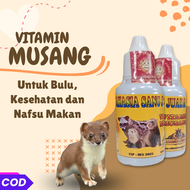 VITAMIN PENGGEMUK MUSANG PANDAN MENAMBAH NAFSU MAKAN DAN TAMBAH GEMUK OBES MUZAIK BULAN RASE