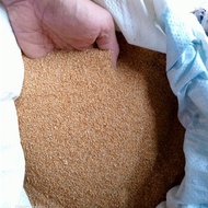 Pasir Silika coklat 1 kg