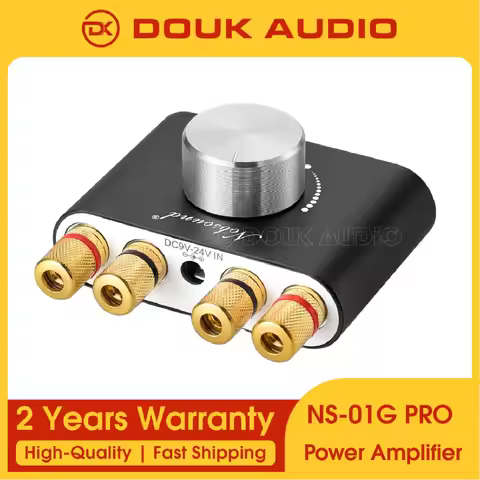 Douk Audio Mini Bluetooth 5.0 Digital Amplifier NS-01G Hi-Fi Stereo Home Audio TPA3116 Power Amplifi