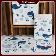 Chalmer Baby Towel 60x120 Soft Towel