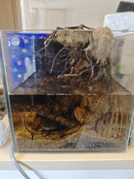 20cm 方缸 魚缸