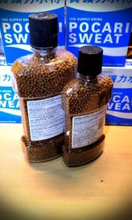 Mazuri 營養水龜糧 5M87 美國馬祖瑞
