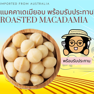 พร้อมรับประทาน แมคคาเดเมียอบ เต็มเม็ด 500 กรัม Roasted Macadamia Ready to Eat 500 g