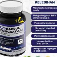 [Percuma 3macawhite] AAN KAPSUL TONGKAT ALI Tingkatkan Kesihatan &amp; Kekuatan Lelaki 350g (20 Kapsul)