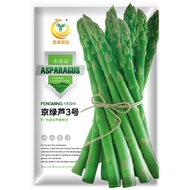 Fengmingya Asparagus Seed Farm Base Planting Vegetables and Vegetables Growing in Four Seasons High-Yield Perennial Aspa
