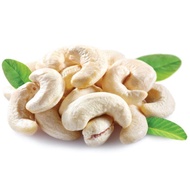 Gajus/Cashew Nut/ 腰果/Cashew Nut Kacang Gajus