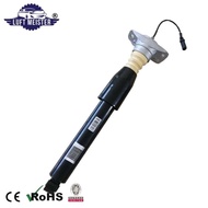 2x Rear Shock Absorber Assy for Audi A6 C7 4G RS6 A7 4G RS7 2012-2018 4G0616031L 4G0616031J 4G061603