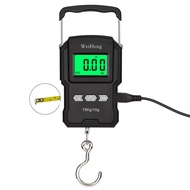 【Best value】 Black Electronic Weighing Digital Scale Rechargeable LCD 75Kg 10g Luggage Scale Hanging