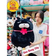 Hama Amuse Cat Teddy Bear - Jennifer 2 Days 1 Night - HM premium stuffed animal pillow