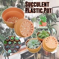 Plastic Terracotta Succulent Pot Shallow Dish Plastic Pot Garden Bonsai Pot