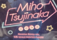 Rocket Boy Miho Tsujinaka 辻中美穗 逆兔 ver. Native