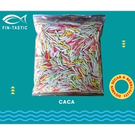 Caca Cha Cha Warna Warni (Bubur Caca)