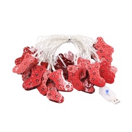 ไฟประดับตกแต่ง USB LED 30 ดวง Warm White LUZINO LUZINO