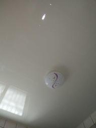 浴室PVC天花板(採用柳安實木角材)