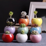 Succulent Ceramic Ball Flowerpot[Caliber6cm]Plant Pot Indoor Balcony Plant Pot