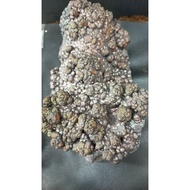 Leklai Malaysia Leklai Mud Single-Sided Beads