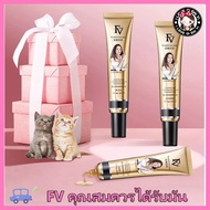 จัดส่งวันเดียวกัน FV รองพื้นชนิดน้ำ 30g คอนซีลเลอร์ใส ครีมรองพื้น Concealer คอนซีลเลอร์เพนครีม คอนซี