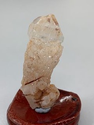 巴基斯坦油膽閃靈骸骨💥～靚+超值