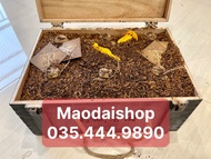 (Cao cấp) 01 thùng mao đài thượng hạng hạ thổ 15 năm chính gốc Quý chau (mao đài hạ thổ)