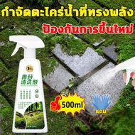 500ml ผงขจัดคราบตะไคร่น้ำ ผงกำจัดตะไคร่น้ำ ผงขจัดตะไคร่น้ำ ฟรีถุงมือ  สำหรับพื้นบ้าน ใช้ง่ายแค่เทแล้