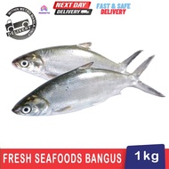 Clean and Whole Fresh Bangus / Milkfish 1kg: | Boneless Bangus | Sliced Bangus | Seafoods |