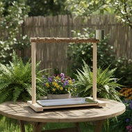 Ioensy Parrot Perch Stand Birds Perch Gym Stand for Budgies Lovebirds Cockatiels