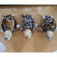 KERAJINAN KERANG. PAJANGAN KURA KURA