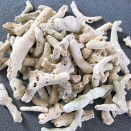 Water filter coral - Ph balance 1kg