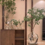 🚓Big Belly Vase Simple Small Mouth Bell Drunk Wood Glass Vase Flower Arrangement Hydroponic Bonsai Bottle Floor Large Co