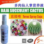 SaverStore Succulent Fertilizer Spray Cactus Fertilizer Spray Stephania Erecta Fertilizer Spray 多肉肥仙