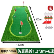 Mini Golf Green Indoor Putting Practice Equipment Office Simulation Artificial Grass Course Old Bird