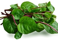 red malabar spinach seeds- (Basella Rubra)