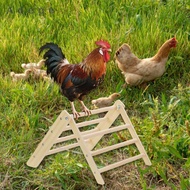 [Adepe] Chicken Perch, Toy for, Coop, Free-range Farm, Perch Toy, Perch Ladder, Rooster Perch