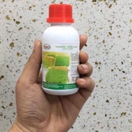 Bico colored pandan leaf scent 100ml pandan extract