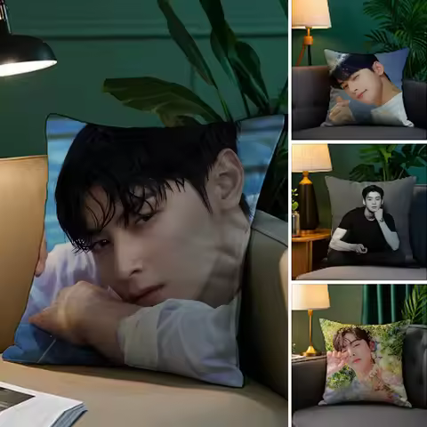 Kpop Singer Cha E-Eun W-Woo Pillow Case Anti-dustmite Pillowcase Invisible zipper silky short plush 