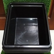 BEKAS IKAN SERBAGUNA 🐠🐠 # bekas ikan laga @ ikan guppy #serbaguna #warna hitam #hijau gelap