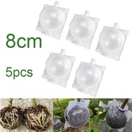 5pcs Breeding Case 8cm Plant Rooting Grow Box  High Pressure Gardening Plant Root Device Ball for Ga